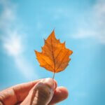 3 Best Parks for Fall Foliage in Ulster County, NY