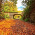 One of New York State's Hidden Gems