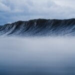 Tourism Industries Ride Out the Omicron Wave