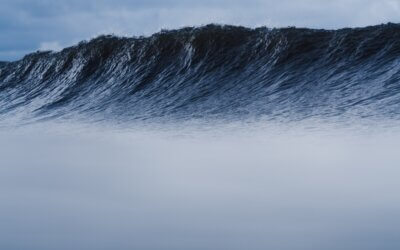 Tourism Industries Ride Out the Omicron Wave