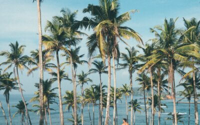 Did You Know Today is National Plan A Vacation Day?