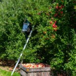 Celebrating World Agriculture Day in Hudson Valley New York