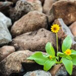 Spring Cleaning: Making Room For What Matters
