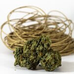 The Positive Side of Cannabis You Need To Know More About