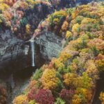 Economic Insights from Upstate New York's CEOs: Challenges, Optimism and Growth Sectors