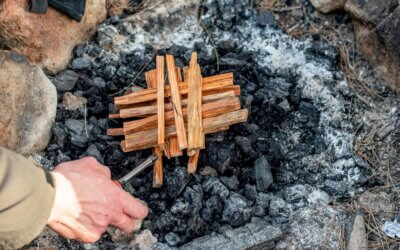 2025 The Year That Built the Fire (Better)