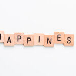 Make Happiness The Destination