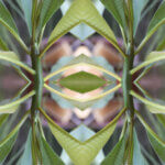 Alignment